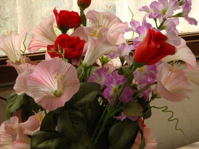 Flowers Image